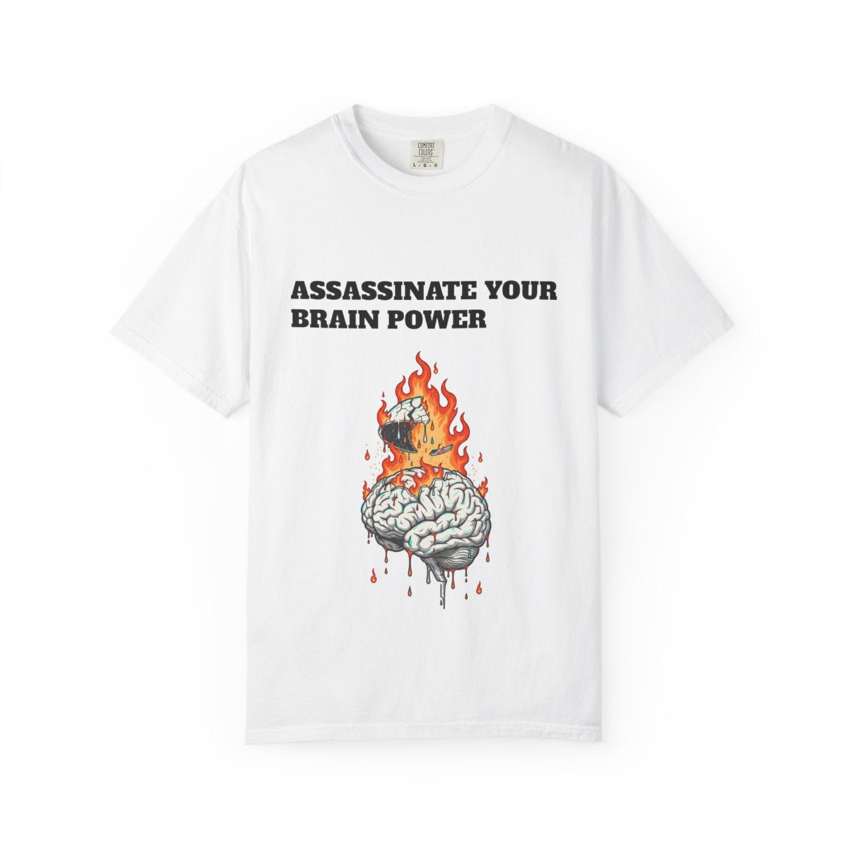 Brain on Fire T-shirt | Burning Brain Graphic, 'Assassinate Your Brain Power'